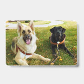 Badge Filles de joie (Arrière)