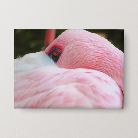 Badge Flamant rose (Recto)