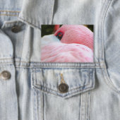 Badge Flamant rose (Insitu)