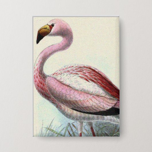 Badge Flamant Vintage (Recto)