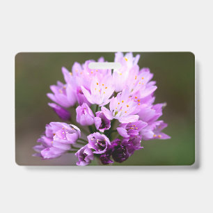 Badge Fleur sauvage
