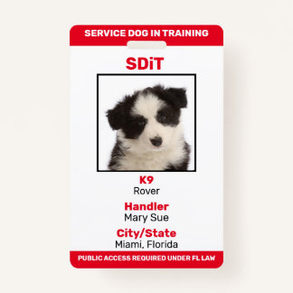 Badge Floride SDiT (Service Dog In Training) insigne d'i