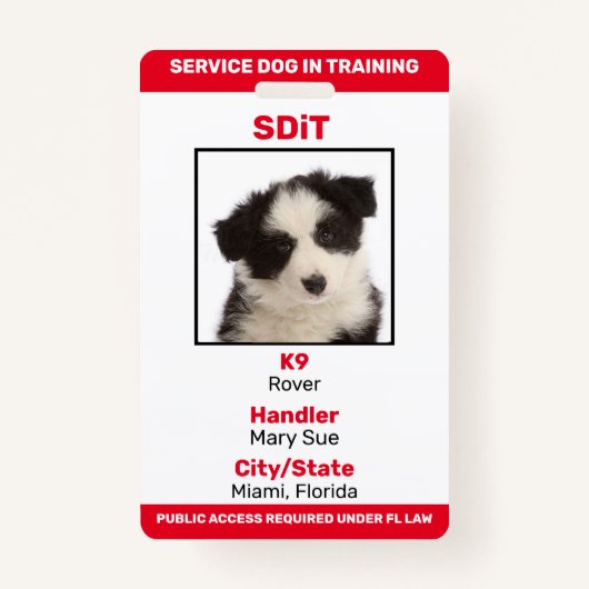 Badge Floride SDiT (Service Dog In Training) insigne d'i (Devant)