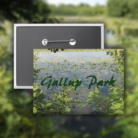 Badge Gallup Park à Ann Arbor
