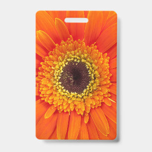 Badge Gerbera marguerite orange