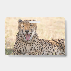 Badge Guépard bâillant