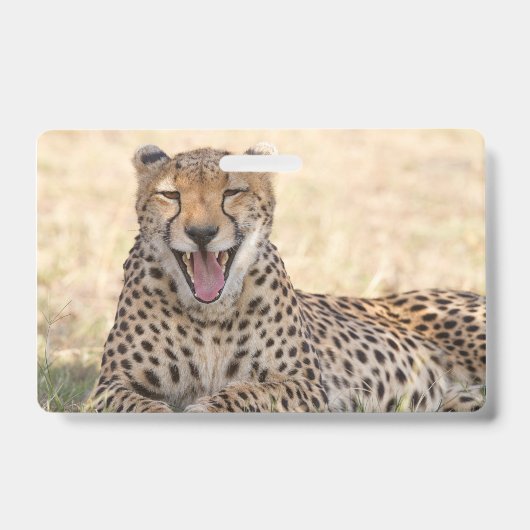 Badge Guépard bâillant (Avant)