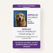 Badge ID photo de chien de service blanc pourpre (Devant)