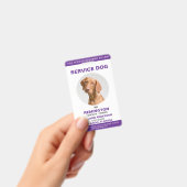 Badge Identifiant photo de chien de service blanc pourpr (À main)