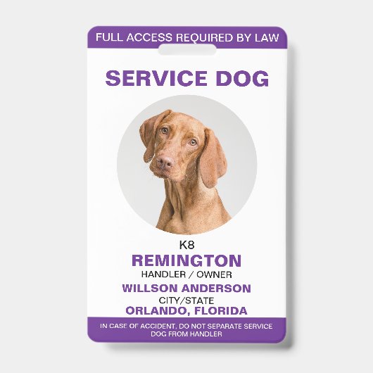 Badge Identifiant photo de chien de service blanc pourpr (Face)