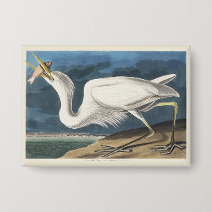 Badge Illustration vintage d'Audubon du Grand Héron Blan