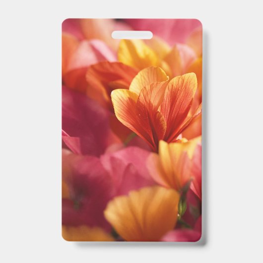 Badge Insigne (Avant)