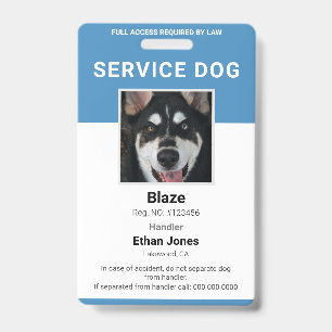 Badge Insigne bleu photo de chien de service