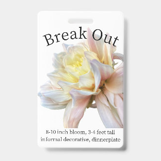 Badge Insigne Dahlia ID de rupture