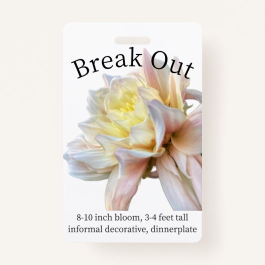 Badge Insigne Dahlia ID de rupture (Devant)