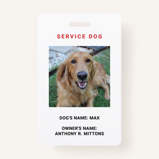 Badge Insigne d'identification de chien de service (Devant)