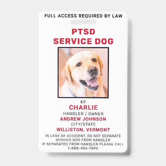 Badge Insigne d'identification de chien du service TSPT  (Front)