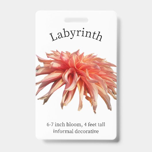 Badge Insigne d'identification de Labyrinth Dahlia (Avant)