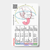 Badge Insigne ICU Critical Care Buddy (Back)