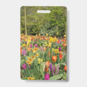 Badge Jardin Holland Tulip (Dos)
