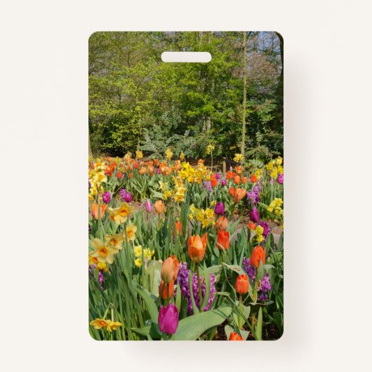Badge Jardin Holland Tulip (Devant)