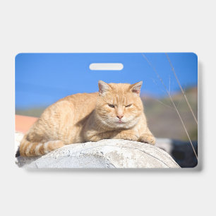 Badge Lazy cat