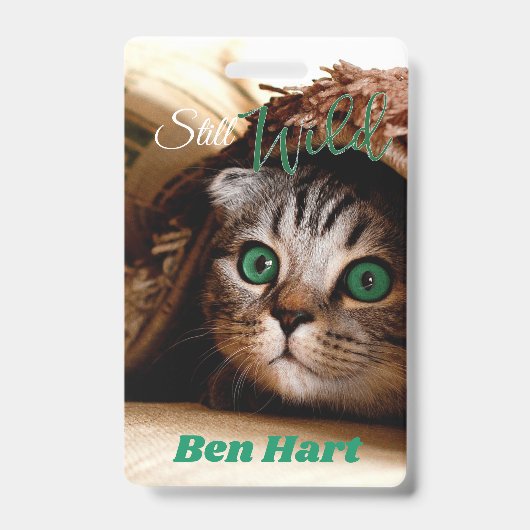 Badge Le chat est toujours sauvage (Avant)