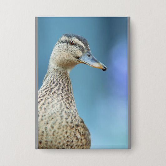 Badge les canards (Recto)