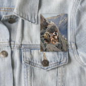 Badge Les guerriers d'Apache : une embuscade sur la cava (Insitu)