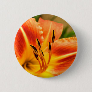 Badge Lily Orange Tiger