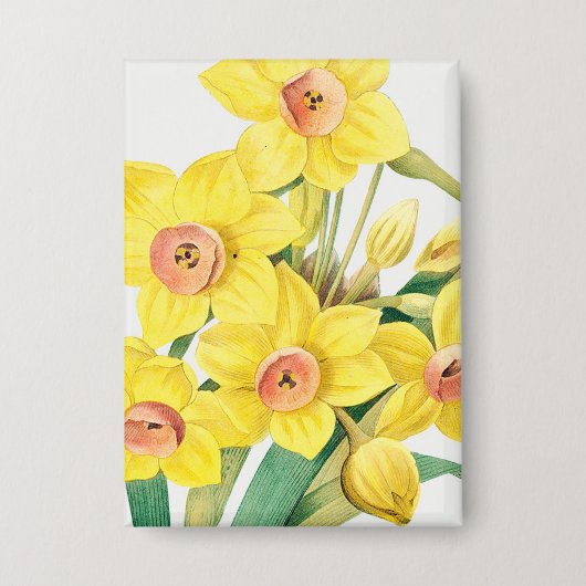 Badge Lis sacré chinois, Pierre-Joseph Redouté,  (Recto)