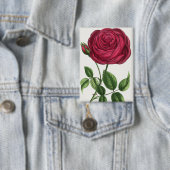 Badge Lithographie de rose antique, François-Frédéric Gr (Insitu)