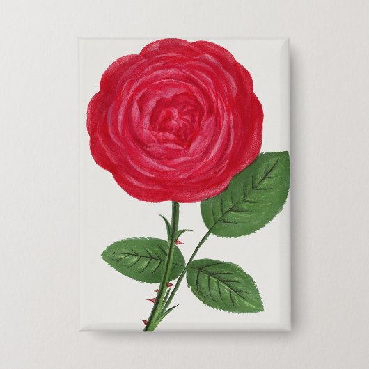 Badge Lithographie de rose antique, François-Frédéric Gr (Recto)