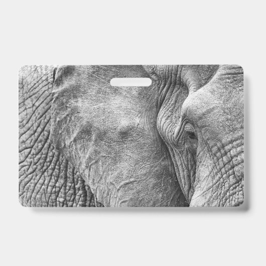 Badge L'oeil d'un éléphant (Avant)
