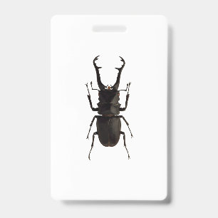 Badge Lucane cerf-volant