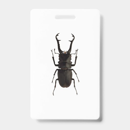 Badge Lucane cerf-volant (Avant)