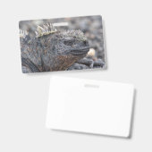 Badge Marine Iguana (Avant & arrière)