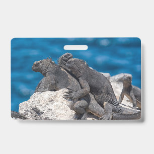 Badge Marine Iguana