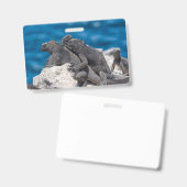 Badge Marine Iguana (Avant & arrière)
