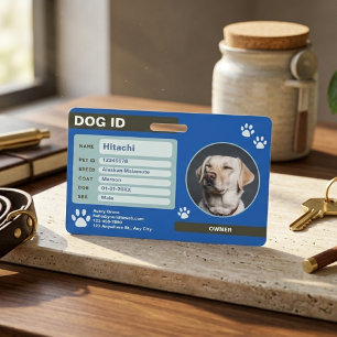 Badge Médaille d'identification personnalisée pour chien