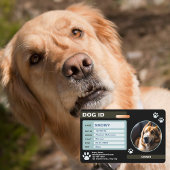 Badge Médaille d'identification pour chien moderne vert 