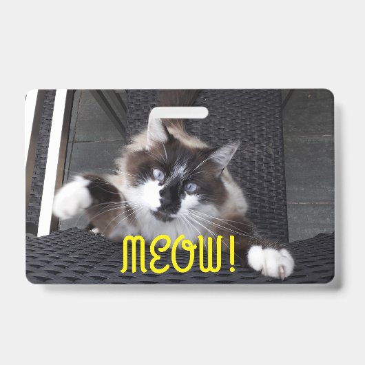 Badge Miaou ! (Avant)