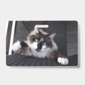 Badge Miaou ! (Arrière)
