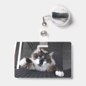 Badge Miaou ! (Arrière avec rétractable)