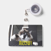 Badge Miaou ! (Avant avec rétractable)