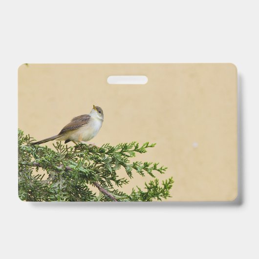 Badge Moineau (Avant)