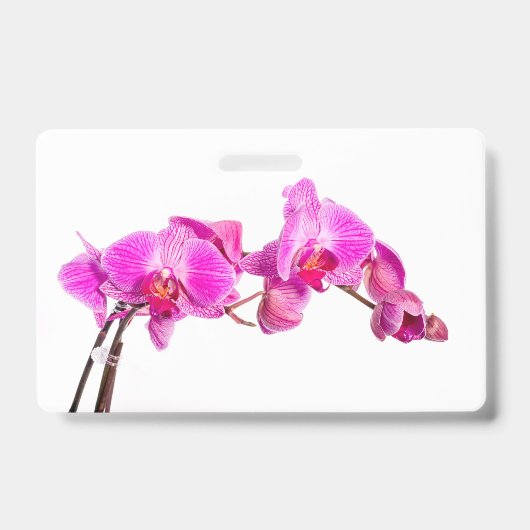 Badge Orchidée (Avant)
