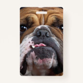 Badge Oreillers à lancer de Bulldog anglais (Dos)