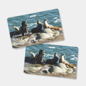 Badge Otaries de San Diego (Avant & arrière)
