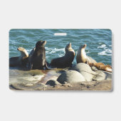 Badge Otaries de San Diego (Arrière)